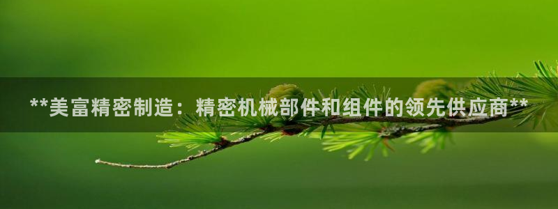 彩神购彩-购彩大厅入口下载：**美富精密制造：精密机械部件和组件的领先供应商**