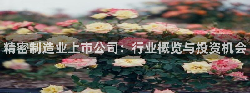 彩神v违法么：精密制造业上市公司：行业概览与投资机会
