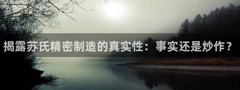彩神8是正规平台吗知乎：揭露苏氏精密制造的真实性：事实还是炒作？