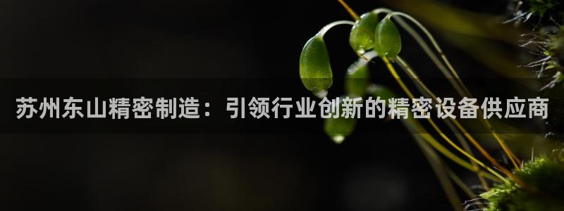 所有彩神购买首页都一样吗：苏州东山精密制造：引领行业创新的精密设备供应商