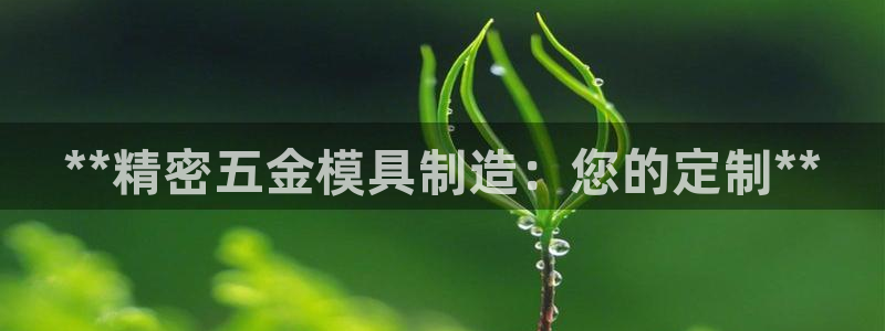 彩神vii官网：**精密五金模具制造：您的定制**