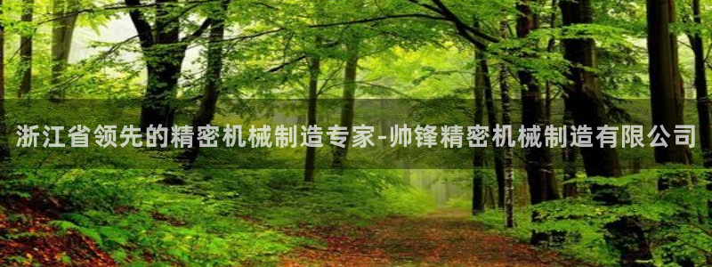 彩神vi官网版：浙江省领先的精密机械制造专家-帅锋精密机械制造有限公司