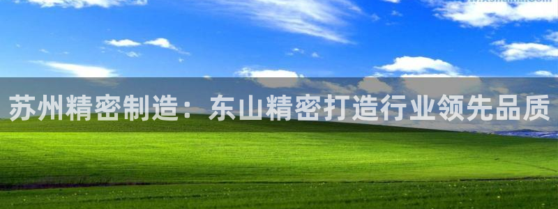 彩神是什么平台的游戏：苏州精密制造：东山精密打造行业领先品质