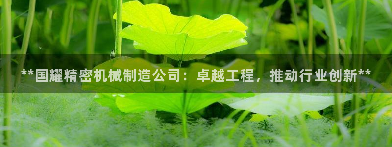 彩神8官网版：**国耀精密机械制造公司：卓越工程，推动行业创新**