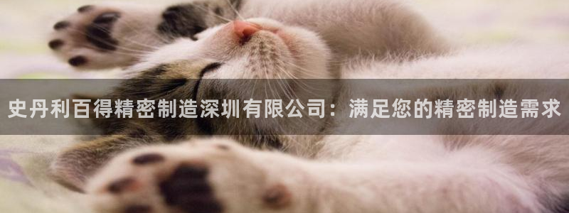 彩神V3大赢家：史丹利百得精密制造深圳有限公司：满足您的精密制造需求