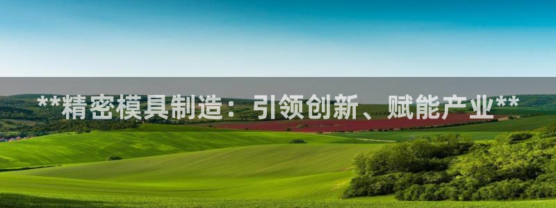 彩神购彩购彩大厅入口v：**精密模具制造：引领创新、赋能产业**