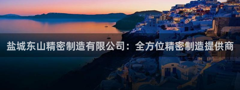 彩神网官网登录：盐城东山精密制造有限公司：全方位精密制造提供商