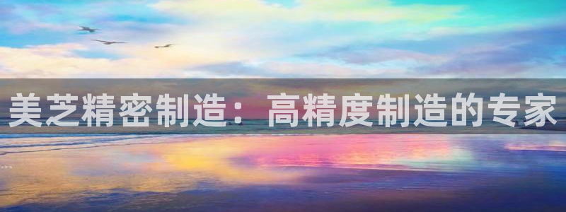 彩神通官网下载：美芝精密制造：高精度制造的专家