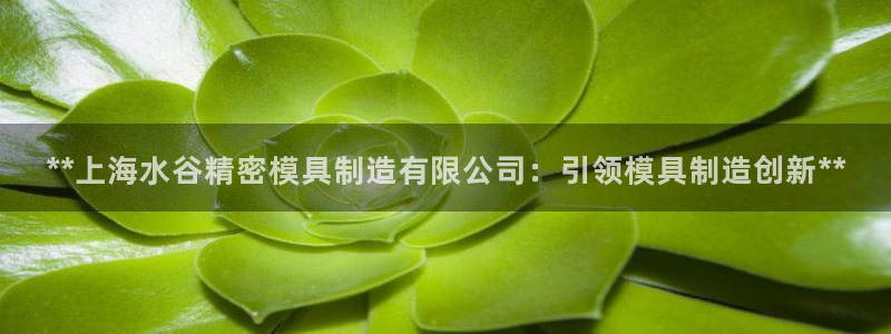 彩神网正规吗