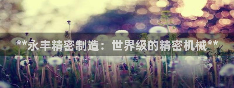 彩神购彩购彩大厅入口v：**永丰精密制造：世界级的精密机械**