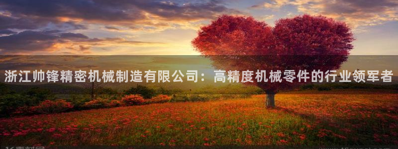 彩神v
