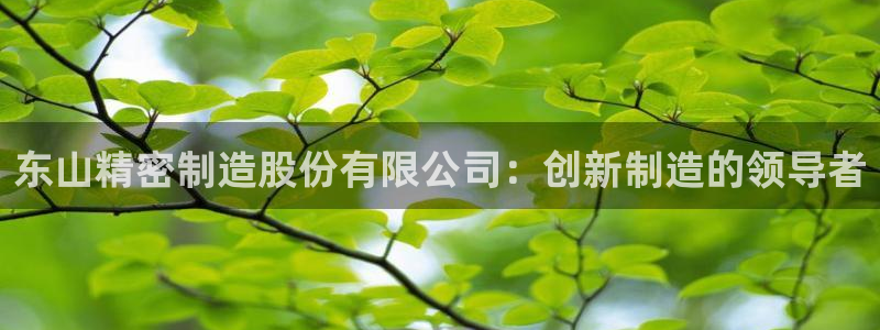 彩神天下专家专栏：东山精密制造股份有限公司：创新制造的领导者