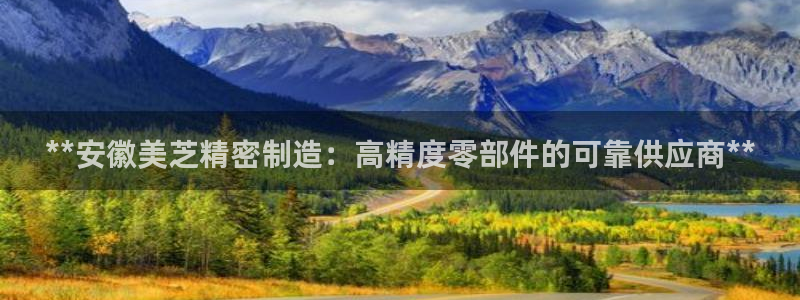 彩神怎么样可以提现：**安徽美芝精密制造：高精度零部件的可靠供应商**