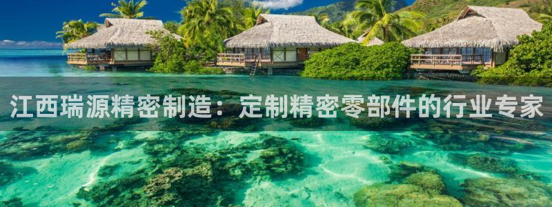 彩神viii官网：江西瑞源精密制造：定制精密零部件的行业专家