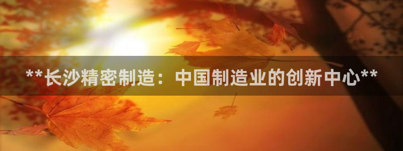 彩神8最新版下载：**长沙精密制造：中国制造业的创新中心**