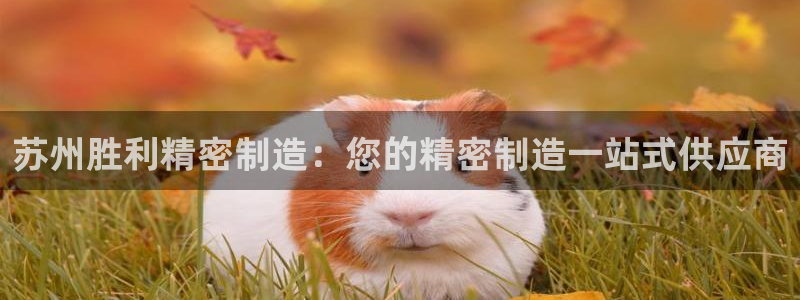 彩神v8app：苏州胜利精密制造：您的精密制造一站式供应商