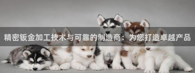 彩神争霸官方登录：精密钣金加工技术与可靠的制造商：为您打造卓越产品