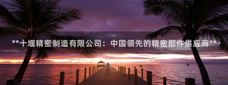 彩神vll首页环球：**十堰精密制造有限公司：中国领先的精密部件供应商**