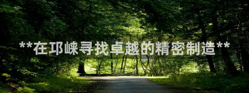 彩神争霸官方登录：**在邛崃寻找卓越的精密制造**