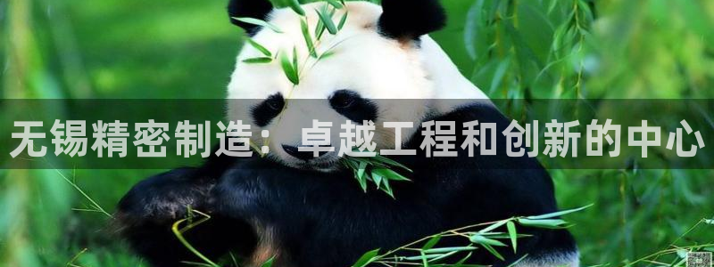 彩神ios下载：无锡精密制造：卓越工程和创新的中心