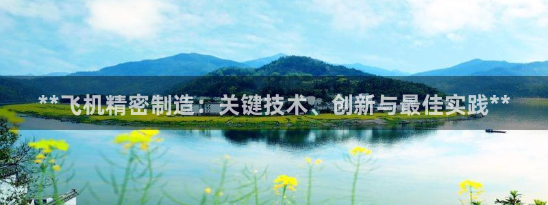 彩神购彩-购彩大厅入口娱乐首选：**飞机精密制造：关键技术、创新与最佳实践**