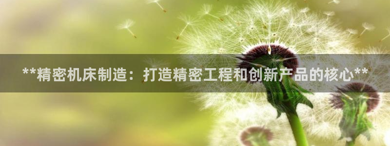 彩神广告有限公司：**精密机床制造：打造精密工程和创新产品的核心**