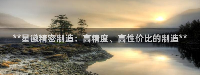 彩神V3大赢家：**星徽精密制造：高精度、高性价比的制造**