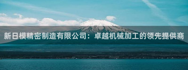 彩神8彩平台客服：新日模精密制造有限公司：卓越机械加工的领先提供商