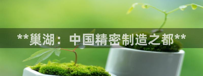 彩神购彩-购彩大厅入口娱乐首选：**巢湖：中国精密制造之都**