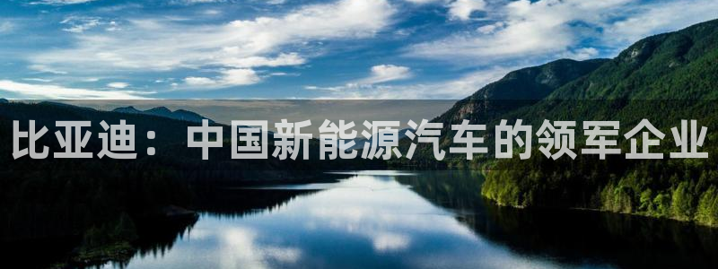彩神vip购彩大厅：比亚迪：中国新能源汽车的领军企业