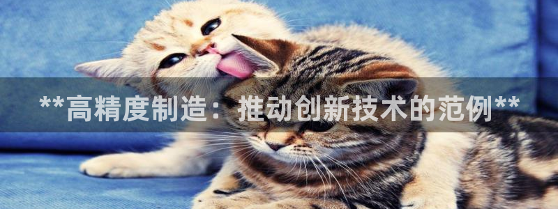 彩神v8首页：**高精度制造：推动创新技术的范例**