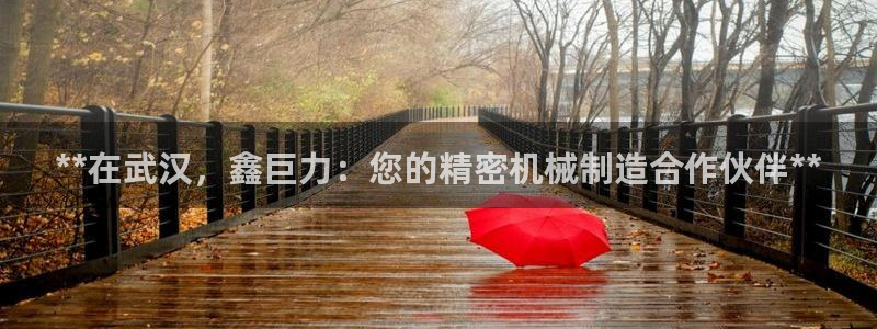 新版彩神v8登录不了