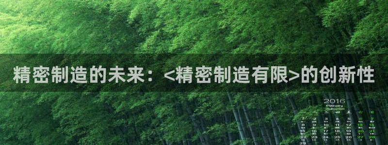 彩神天下专家专栏：精密制造的未来：<精密制造有限>的创新性