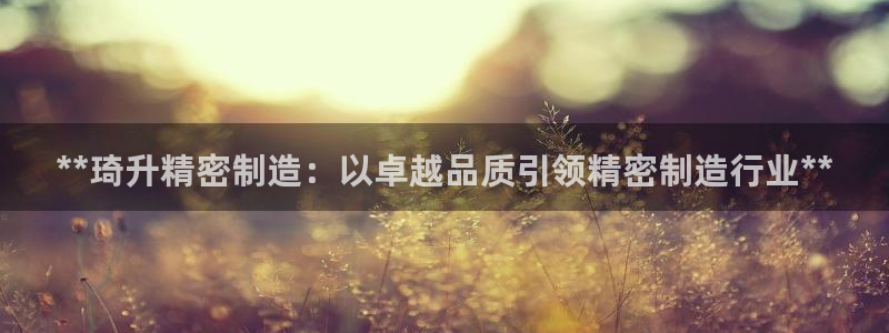 彩神v天天：**琦升精密制造：以卓越品质引领精密制造行业**