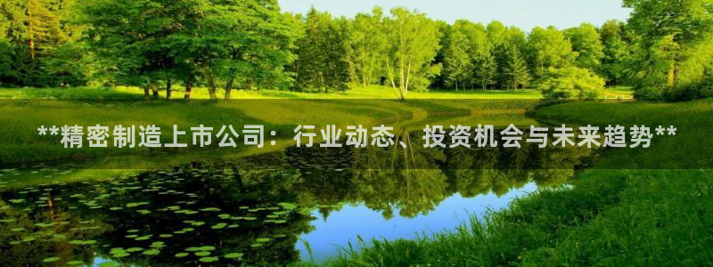 彩神网官网登录：**精密制造上市公司：行业动态、投资机会与未来趋势**