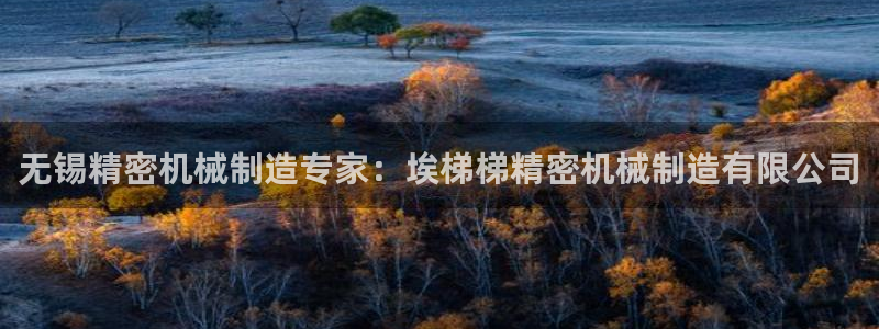 彩神V购彩大厅：无锡精密机械制造专家：埃梯梯精密机械制造有限公司