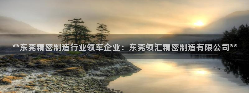 彩神ix官网：**东莞精密制造行业领军企业：东莞领汇精密制造有限公司**