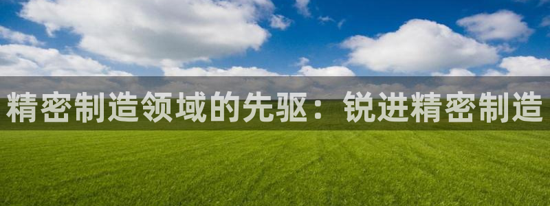 彩神v8iii：精密制造领域的先驱：锐进精密制造