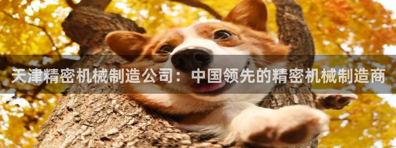 彩神用户登录：天津精密机械制造公司：中国领先的精密机械制造商