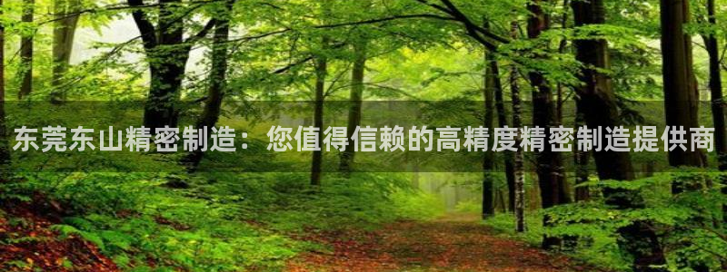 彩神v8平台正规吗安全吗：东莞东山精密制造：您值得信赖的高精度精密制造提供商