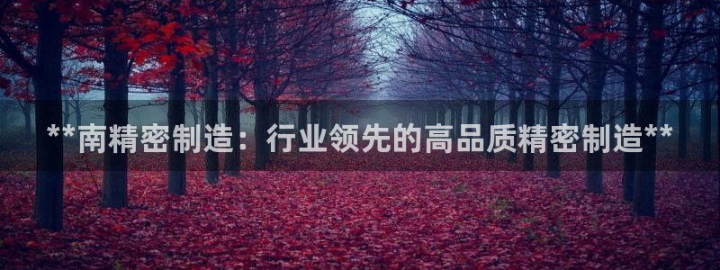 彩神8最新版下载：**南精密制造：行业领先的高品质精密制造**
