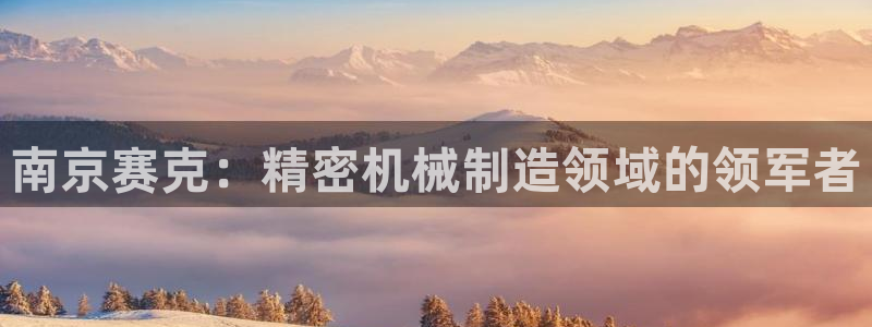 彩神ix能赚钱吗：南京赛克：精密机械制造领域的领军者