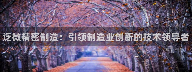 彩神v8平台正规吗知乎：泛微精密制造：引领制造业创新的技术领导者