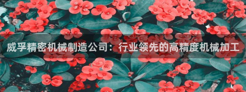 彩神争霸老平台：威孚精密机械制造公司：行业领先的高精度机械加工