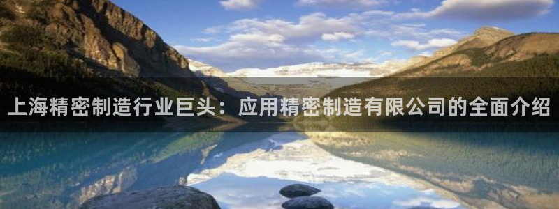 彩神是什么平台：上海精密制造行业巨头：应用精密制造有限公司的全面介绍