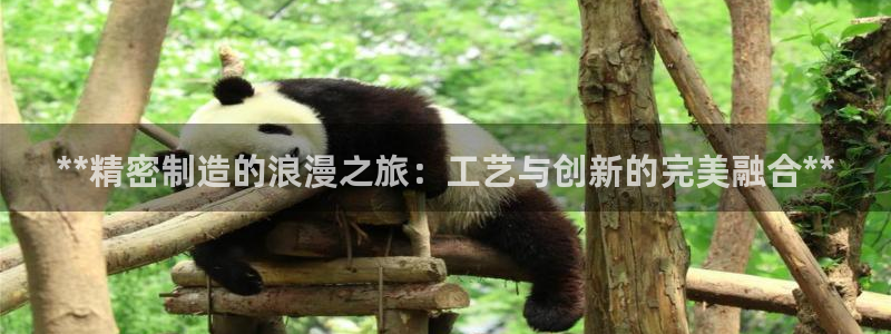 彩神怎么样可以提现：**精密制造的浪漫之旅：工艺与创新的完美融合**
