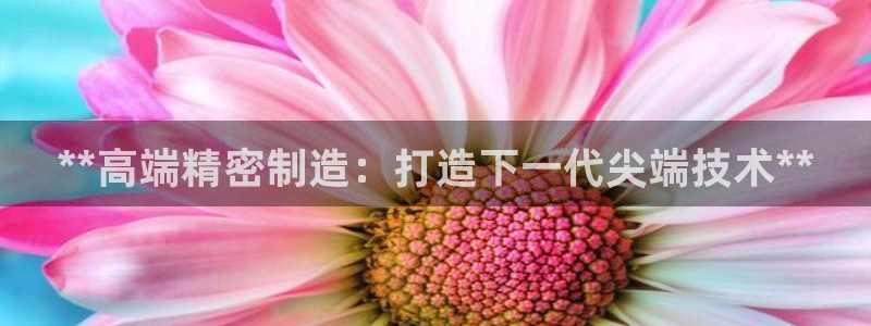 彩神 好 平台：**高端精密制造：打造下一代尖端技术**