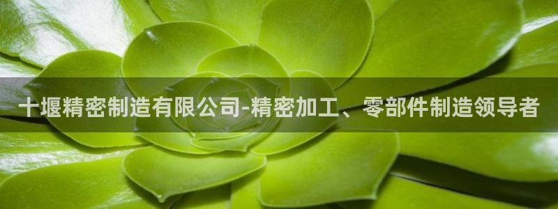 彩神旗下有哪些平台可以看：十堰精密制造有限公司-精密加工、零部件制造领导者