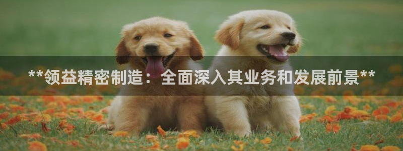 彩神v8iii：**领益精密制造：全面深入其业务和发展前景**
