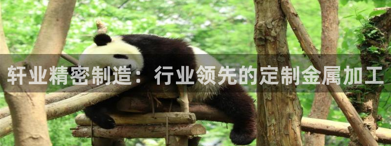 彩神平台是真的吗：轩业精密制造：行业领先的定制金属加工
